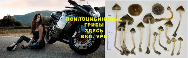 COCAINE Ладушкин