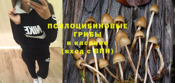 твердый Алексеевка