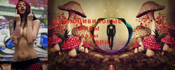 твердый Алексеевка