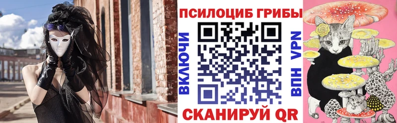площадка телеграм гидра ссылки Новошахтинск Галлюциногенные грибы мухоморы